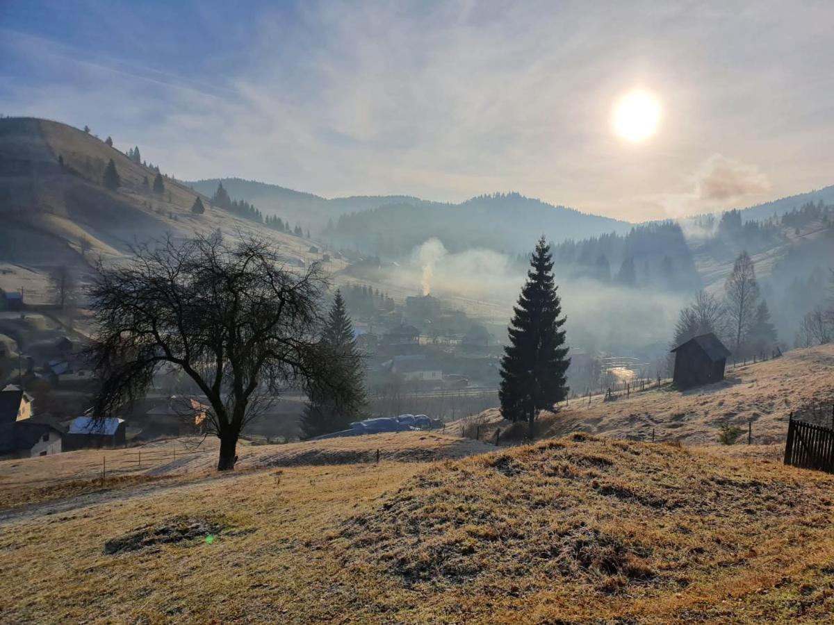 Pensiunea Casa Fierarul din Bucovina Vatra Moldoviţei Exterior foto